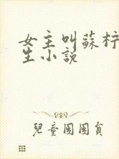 女主叫苏柠的重生小说