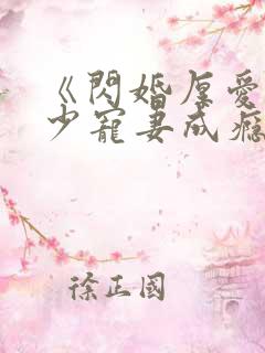 《闪婚厚爱:墨少宠妻成瘾》