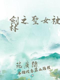 剑之圣女被哥布林