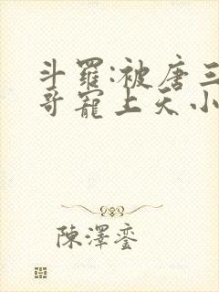 斗罗:被唐三哥哥宠上天小说