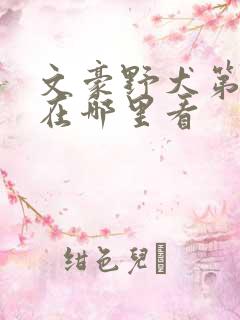 文豪野犬第二季在哪里看