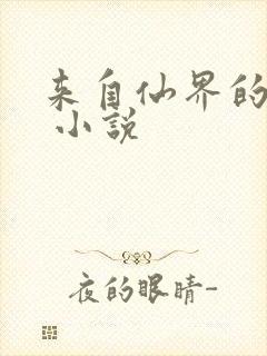 来自仙界的男人 小说