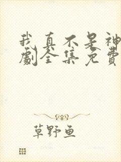 我真不是神医短剧全集免费