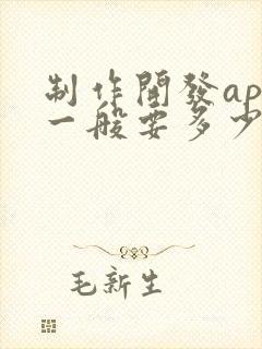 制作开发app一般要多少钱