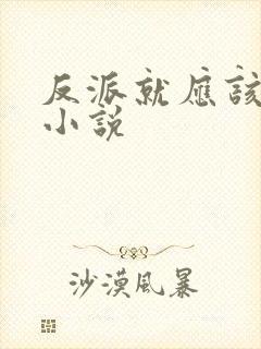 反派就应该无敌小说