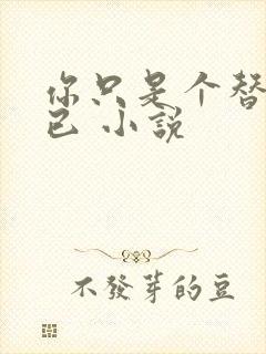 你只是个替身而已 小说