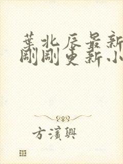 叶北辰最新章节刚刚更新小说全文阅