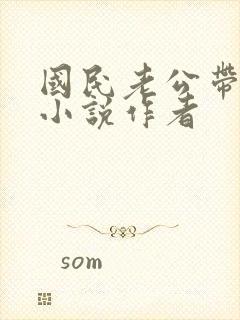 国民老公带回家小说作者