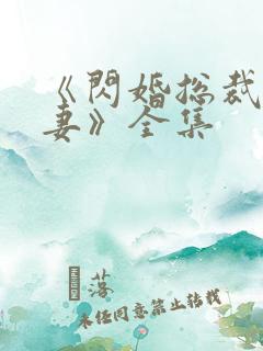 《闪婚总裁契约妻》全集