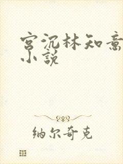 宫沉林知意正版小说