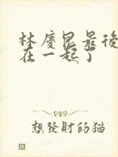 林庆昆最后和谁在一起了