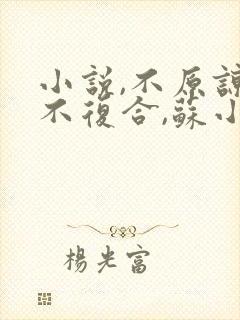 小说,不原谅,不复合,苏小姐独美