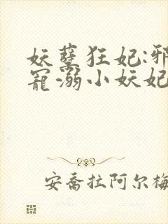 妖孽狂妃:邪君宠溺小妖妃