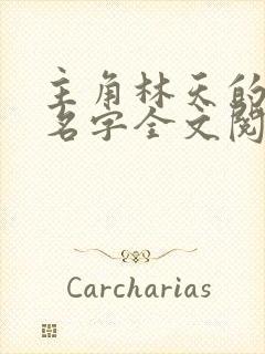 主角林天的小说名字全文阅读