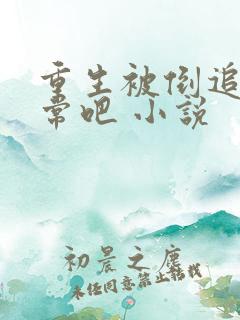 重生被倒追很正常吧 小说