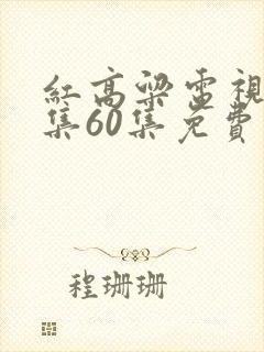 红高粱电视剧全集60集免费观看