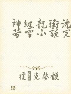 神级龙卫沈浪苏若雪小说完整下载