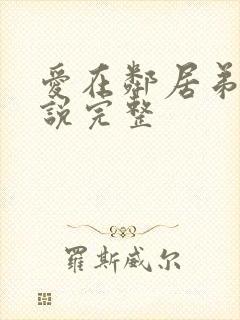 爱在邻居弟弟小说完整