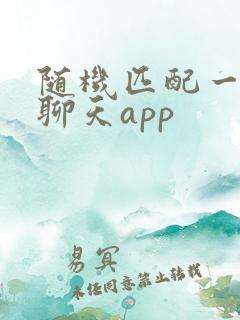 随机匹配一对一聊天app