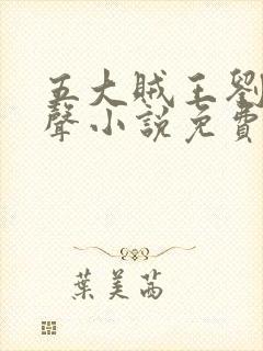 五大贼王刘杰有声小说免费听书