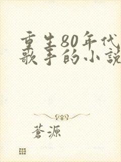 重生80年代当歌手的小说
