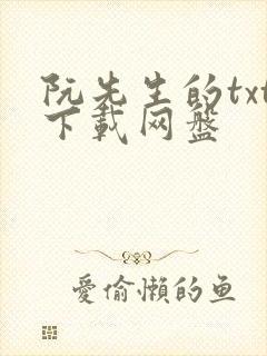 阮先生的txt下载网盘