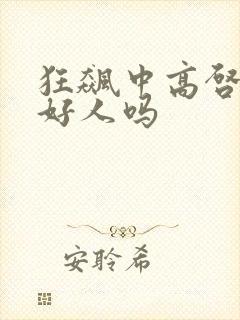 狂飙中高启兰是好人吗