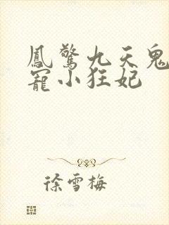 凤惊九天鬼帝溺宠小狂妃