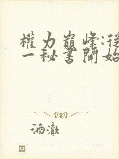 权力巅峰:从第一秘书开始 免费看