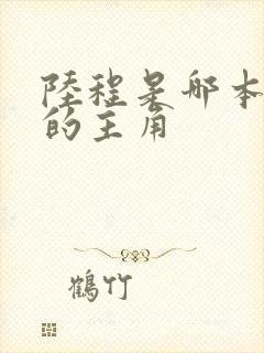 陆程是哪本小说的主角