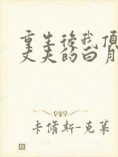 重生后我顶替了丈夫的白月光小说