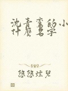 沈青鸾的小说叫什么名字