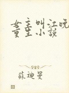 女主叫江晚吟的重生小说