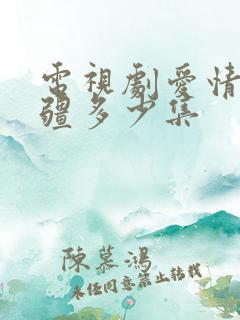 电视剧爱情的边疆多少集