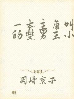 一本主角叫陈平的双男主小说