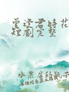 曾逢君时花照眼短剧完整