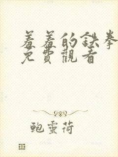 羞羞的铁拳高清免费观看