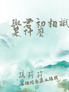 与君初相识结局是什么