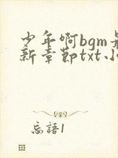 少年啊bgm最新章节txt小说