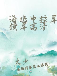 海鸥中控屏壁纸横屏高清