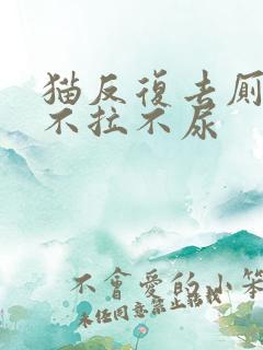 猫反复去厕所却不拉不尿