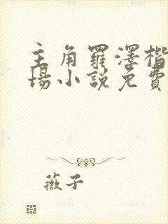 主角罗泽楷的官场小说免费阅读