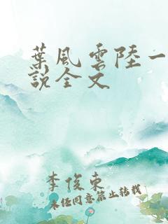 叶风云陆一曼小说全文