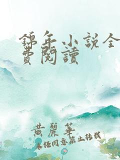 锦年小说全文免费阅读