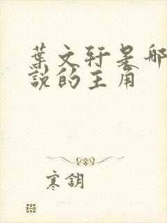 叶文轩是哪本小说的主角