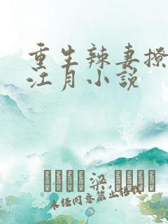 重生辣妻撩夫忙江月小说