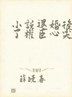 小说退婚后我成了权臣心尖宠