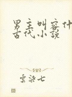 男主叫容什么的古代小说