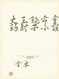 大王饶命会说话的肘子小说正版