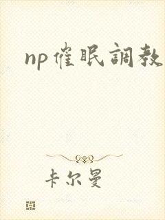 np催眠调教